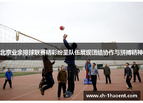 北京业余排球联赛精彩纷呈队伍展现团结协作与拼搏精神