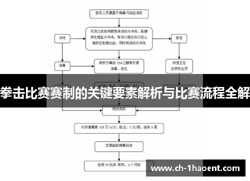 拳击比赛赛制的关键要素解析与比赛流程全解