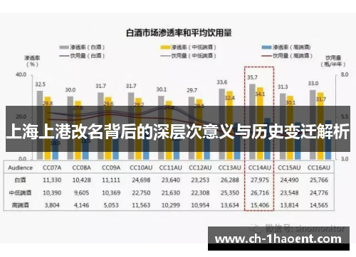 上海上港改名背后的深层次意义与历史变迁解析