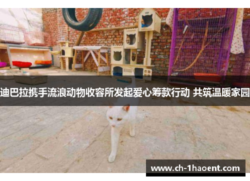 迪巴拉携手流浪动物收容所发起爱心筹款行动 共筑温暖家园