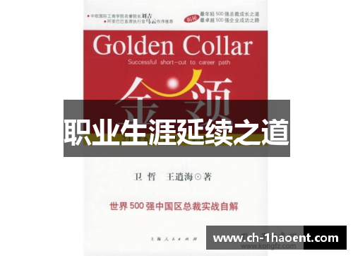 职业生涯延续之道