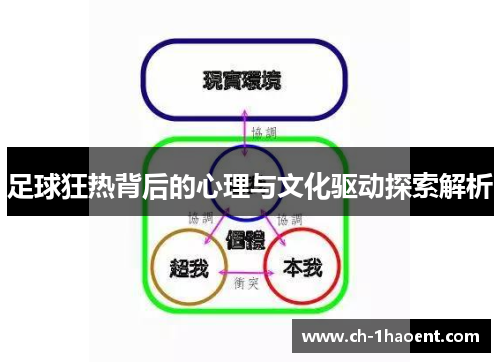 足球狂热背后的心理与文化驱动探索解析