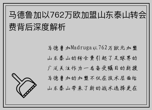马德鲁加以762万欧加盟山东泰山转会费背后深度解析