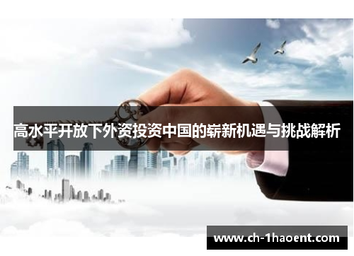 高水平开放下外资投资中国的崭新机遇与挑战解析